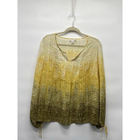 Coldwater Creek Women’s Chevron Print Sheer Blouse Sz 2x Boho Flowy Festival - Picture 1 of 8